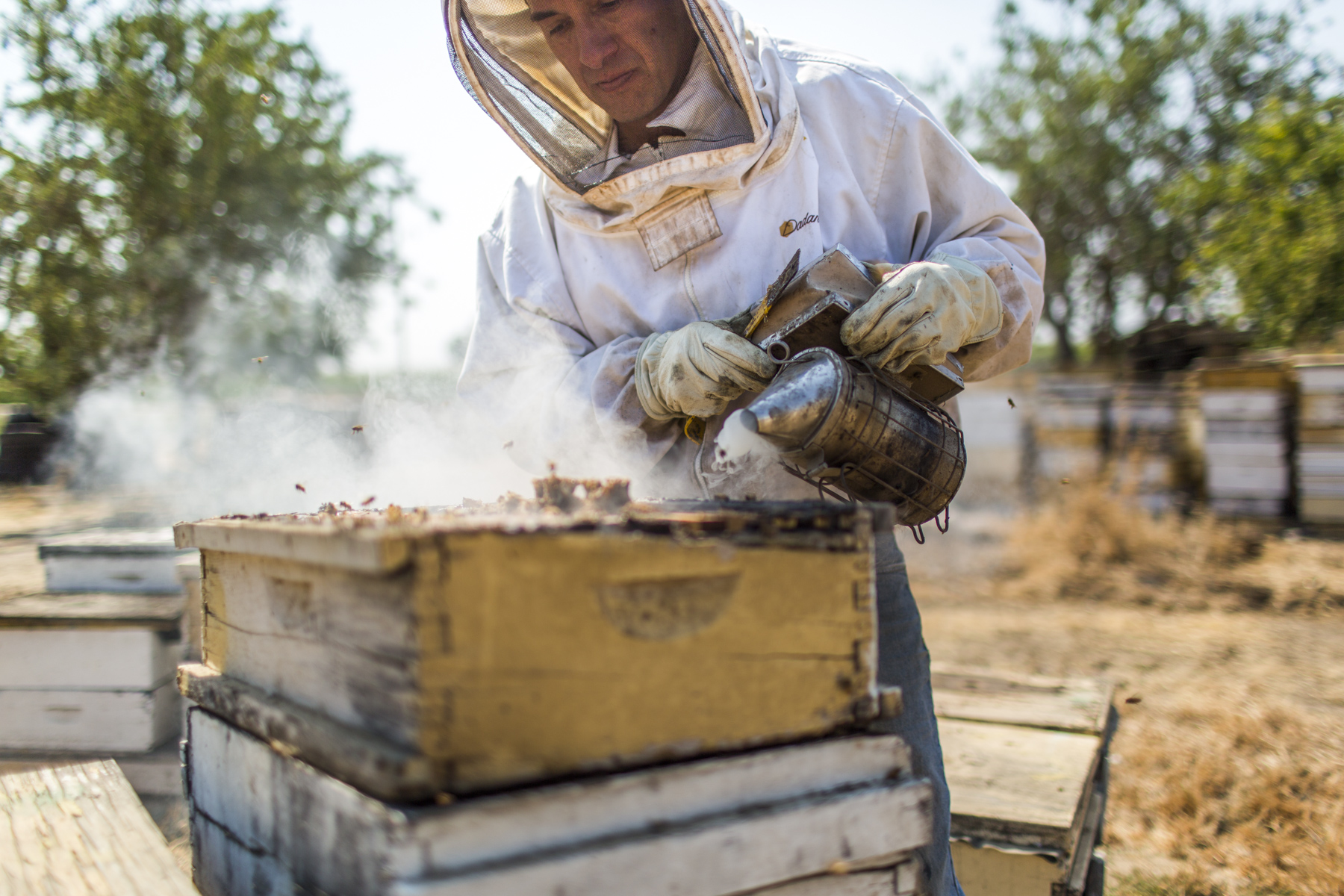 JamieKingham_Farming_003